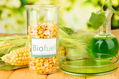 Plasnewydd biofuel availability