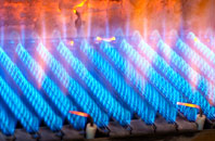 Plasnewydd gas fired boilers